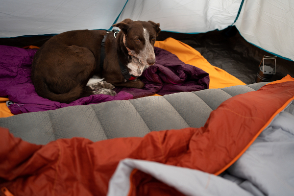 Camping Dog Bed vs Camping Dog Mat