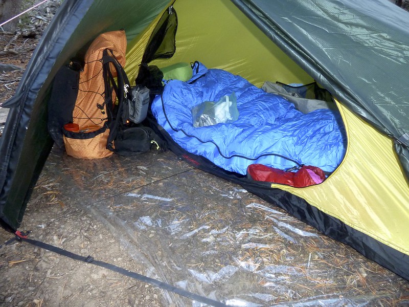 Where Should Dogs Sleep when Camping?