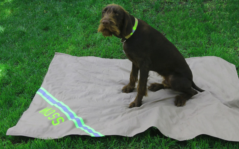 Dog Camping Blanket