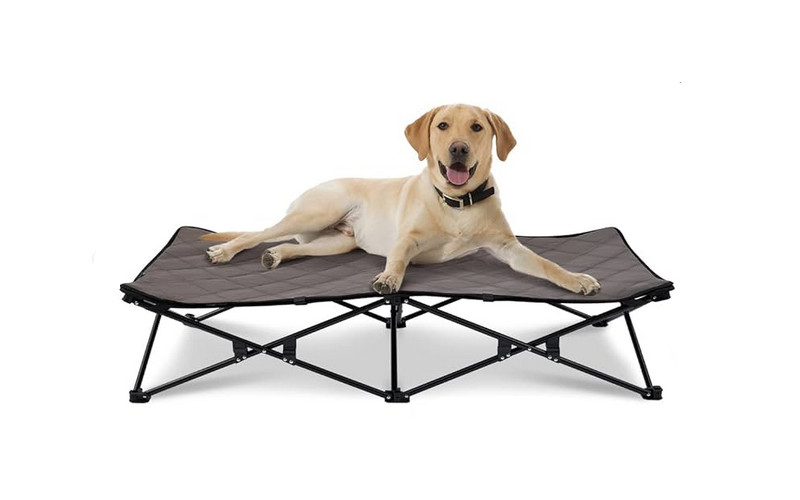 Folding Dog Bed for Camping