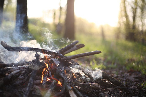 Does Campfire Smoke Affect Dogs?